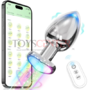 Vibrator Butt Plug